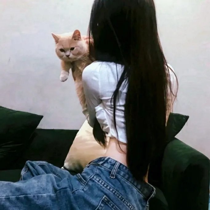 玛莎的情事 海报